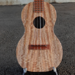 DSC03452 iriguchi .png